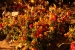 20111103-IMG_6881