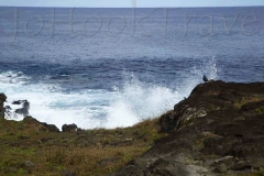 thumb_20160825_Easter Island 3_0470_1024