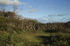 thumb_20160827_Easter island 10_0252_1024