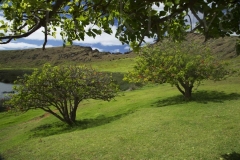 thumb_20160827_Easter island 11_0786_1024