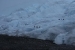 el-calafate-444