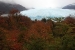 el-calafate-498