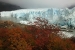 perito-moreno-455