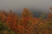 perito-moreno-480