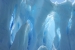 perito moreno 017.jpg