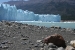 perito moreno 278.jpg