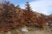 el-chalten-1-142