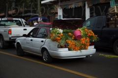thumb_21992199_1024
