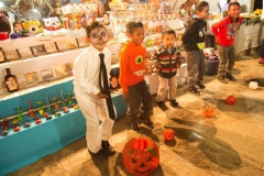 thumb_24822482_1024