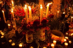 thumb_25782578_1024