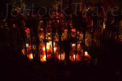 thumb_27062706_1024