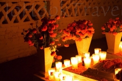 thumb_27242724_1024