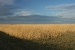 Estancia La Margarita 018.jpg