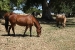 Estancia La Margarita 144.jpg