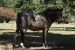 Estancia La Margarita 149.jpg