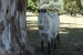 Estancia La Margarita 159.jpg