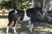 Estancia La Margarita 171.jpg