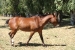 Estancia La Margarita 199.jpg