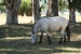 Estancia La Margarita 236.jpg