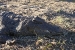 namibia-1-075.jpg