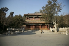 G85A6599