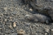 20130227_0449-2