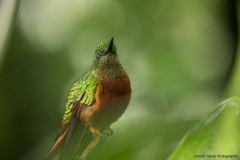 20140614_Guango-4_0012