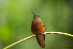 20140614_Guango-4_0058
