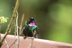 20140614_Guango-4_0147