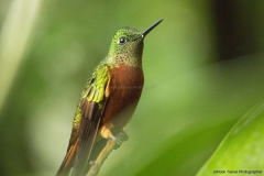 20140614_Guango-4_0184