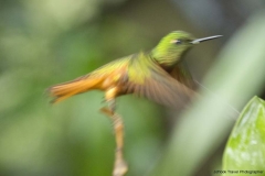 20140614_Guango-4_0244