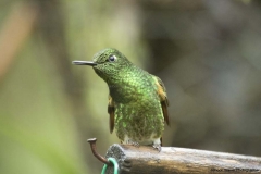 20140614_Guango-4_0263