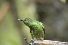 20140614_Guango-4_0266