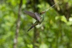 20140614_Guango-4_0359