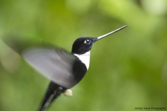 20140614_Guango-Lodge-2_0012