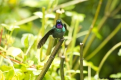 20140614_Guango-Lodge-2_0026