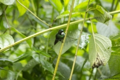 20140614_Guango-Lodge-2_0070