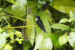 20140614_Guango-Lodge-2_0090
