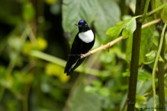 20140614_Guango-Lodge-2_0098