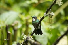 20140614_Guango-Lodge-2_0125