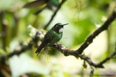 20140614_Guango-Lodge-2_0137