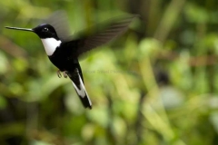 20140614_Guango-Lodge-2_0165