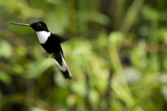 20140614_Guango-Lodge-2_0167
