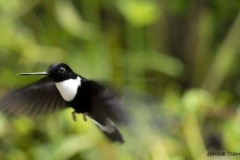 20140614_Guango-Lodge-2_0168