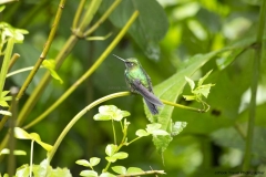 20140614_Guango-Lodge-2_0180