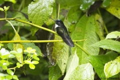 20140614_Guango-Lodge-2_0191
