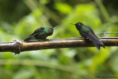 20140614_Guango-Lodge-2_0208