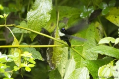 20140614_Guango-Lodge-2_0236