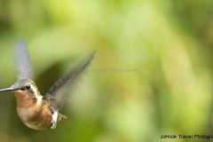 20140614_Guango-Lodge-2_0240