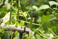 20140614_Guango-Lodge-2_0243